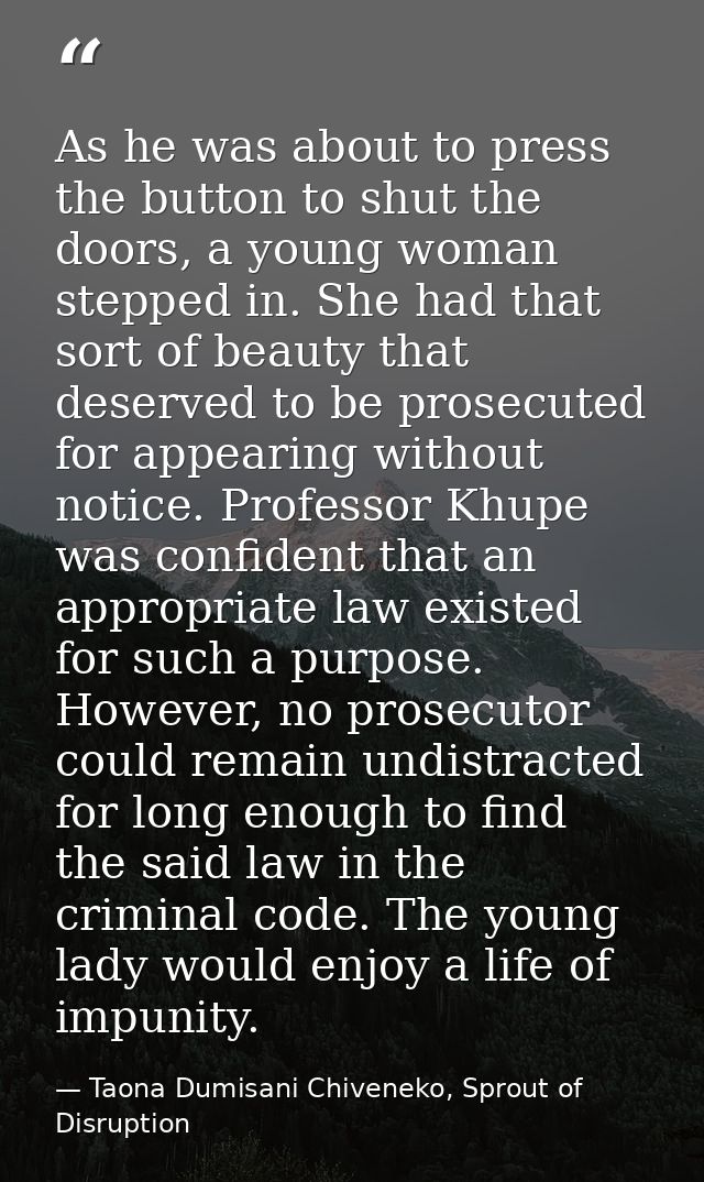 As he was about to press the button to shut the doors, a young woman stepped in. She had that sort of beauty that deserv — Taona Dumisani Chiveneko, Sprout of Disruption
