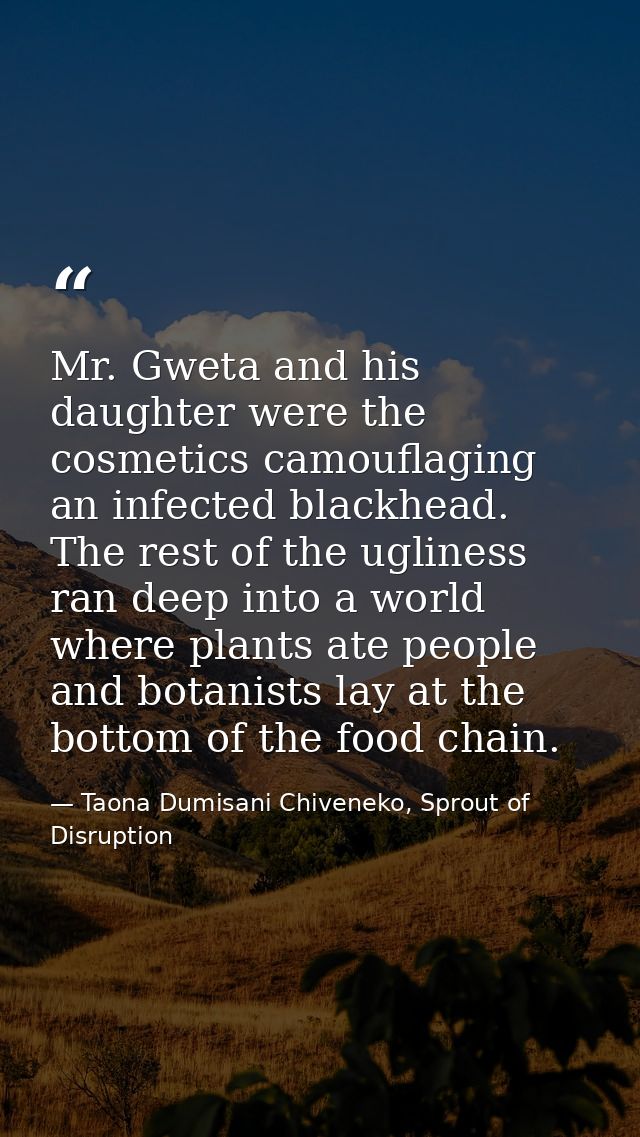 Mr. Gweta and his daughter were the cosmetics camouflaging an infected blackhead. The rest of the ugliness ran deep into — Taona Dumisani Chiveneko, Sprout of Disruption