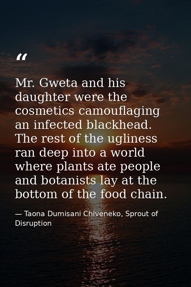 Mr. Gweta and his daughter were the cosmetics camouflaging an infected blackhead. The rest of the ugliness ran deep into — Taona Dumisani Chiveneko, Sprout of Disruption