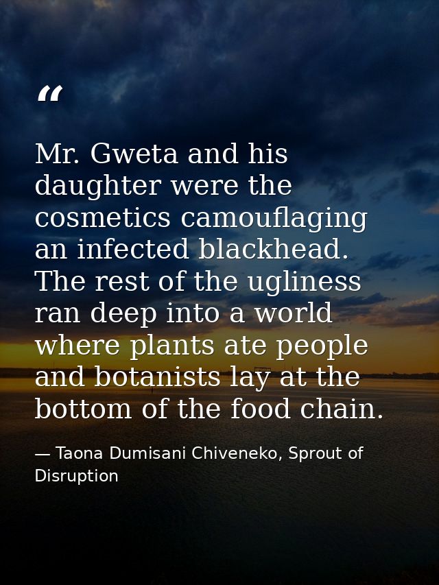 Mr. Gweta and his daughter were the cosmetics camouflaging an infected blackhead. The rest of the ugliness ran deep into — Taona Dumisani Chiveneko, Sprout of Disruption