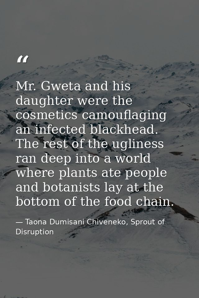 Mr. Gweta and his daughter were the cosmetics camouflaging an infected blackhead. The rest of the ugliness ran deep into — Taona Dumisani Chiveneko, Sprout of Disruption