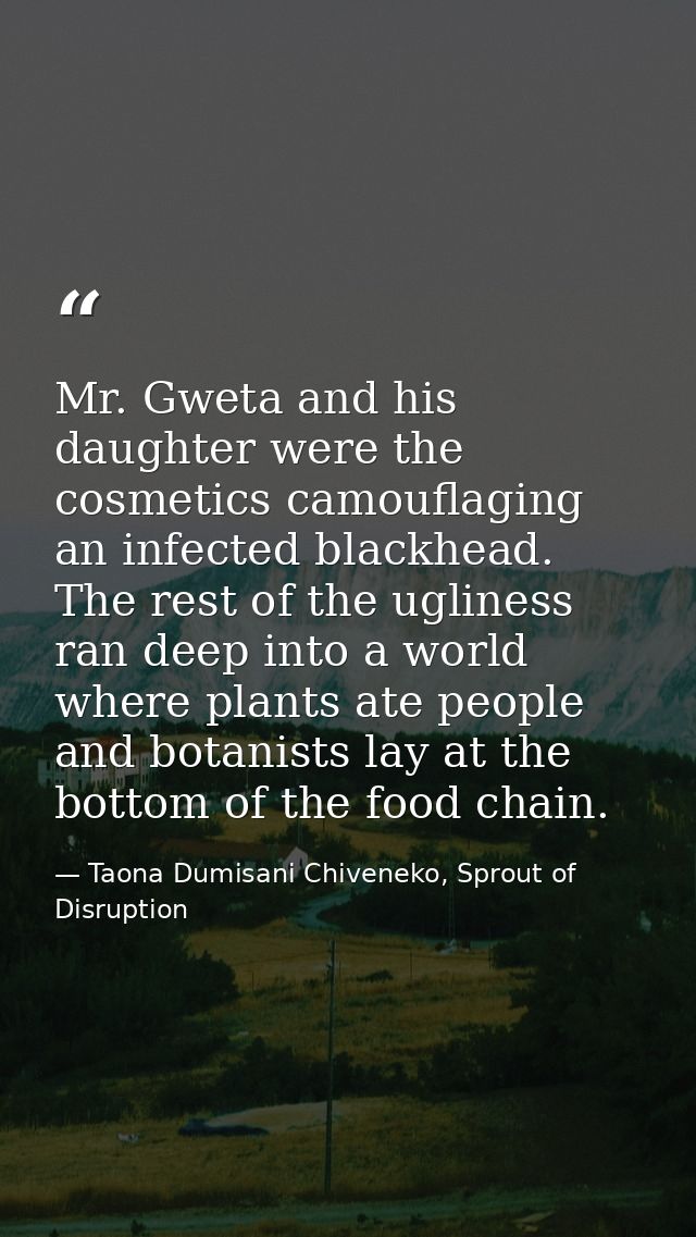 Mr. Gweta and his daughter were the cosmetics camouflaging an infected blackhead. The rest of the ugliness ran deep into — Taona Dumisani Chiveneko, Sprout of Disruption