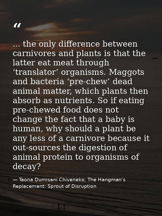... the only difference between carnivores and plants is that the latter eat meat through ‘translator’ organisms. Maggot — Taona Dumisani Chiveneko, The Hangman's Replacement: Sprout of Disruption
