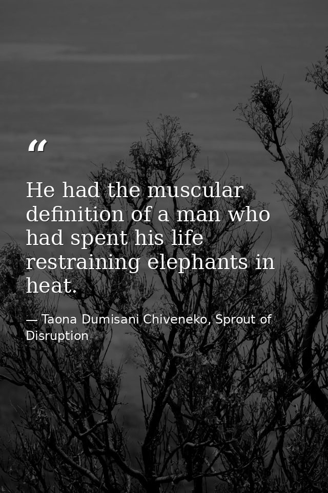 He had the muscular definition of a man who had spent his life restraining elephants in heat. — Taona Dumisani Chiveneko, Sprout of Disruption