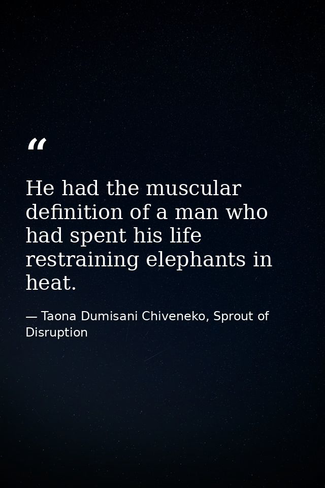 He had the muscular definition of a man who had spent his life restraining elephants in heat. — Taona Dumisani Chiveneko, Sprout of Disruption