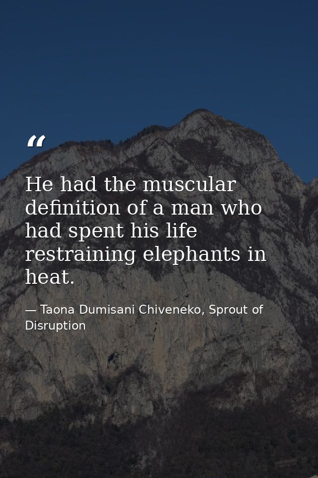 He had the muscular definition of a man who had spent his life restraining elephants in heat. — Taona Dumisani Chiveneko, Sprout of Disruption