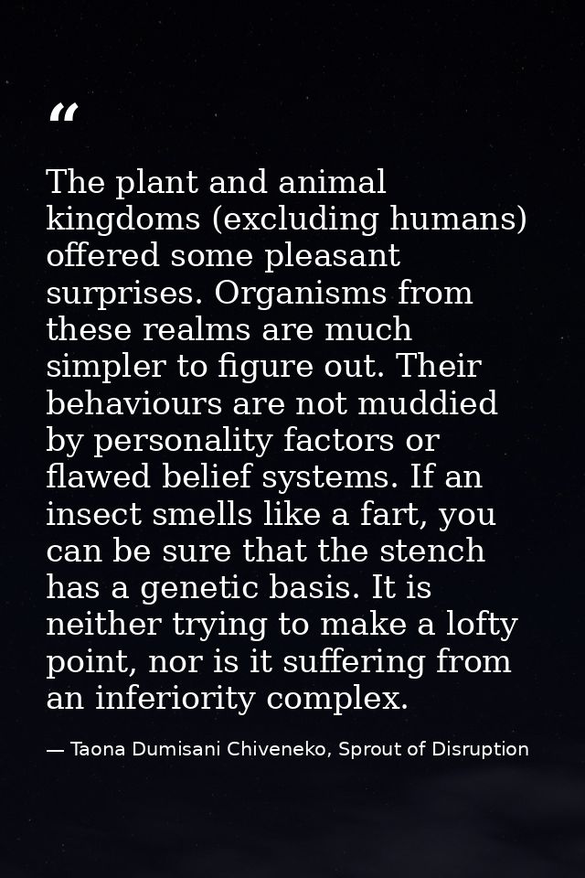 The plant and animal kingdoms (excluding humans) offered some pleasant surprises. Organisms from these realms are much s — Taona Dumisani Chiveneko, Sprout of Disruption