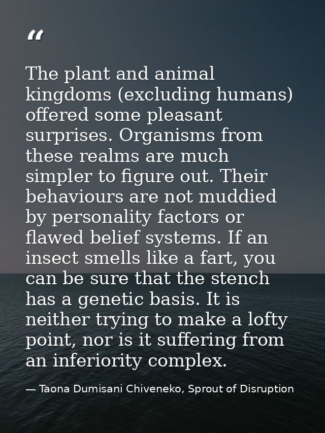 The plant and animal kingdoms (excluding humans) offered some pleasant surprises. Organisms from these realms are much s — Taona Dumisani Chiveneko, Sprout of Disruption