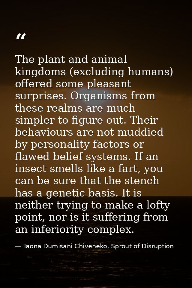 The plant and animal kingdoms (excluding humans) offered some pleasant surprises. Organisms from these realms are much s — Taona Dumisani Chiveneko, Sprout of Disruption
