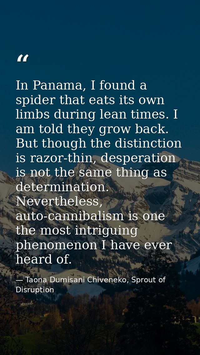 In Panama, I found a spider that eats its own limbs during lean times. I am told they grow back. But though the distinct — Taona Dumisani Chiveneko, Sprout of Disruption
