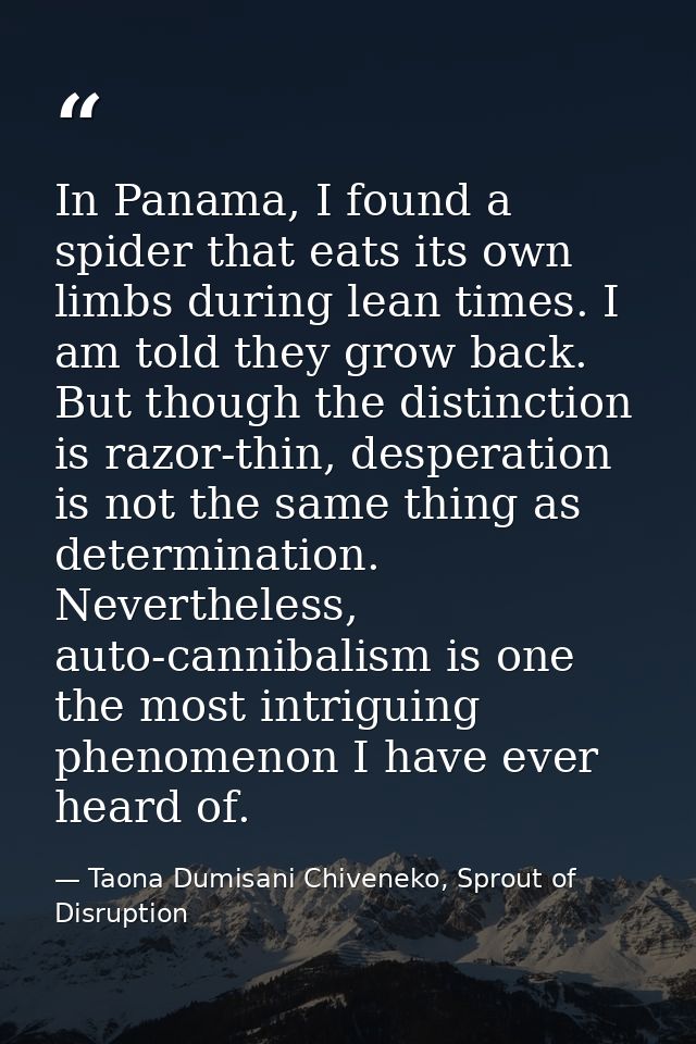In Panama, I found a spider that eats its own limbs during lean times. I am told they grow back. But though the distinct — Taona Dumisani Chiveneko, Sprout of Disruption