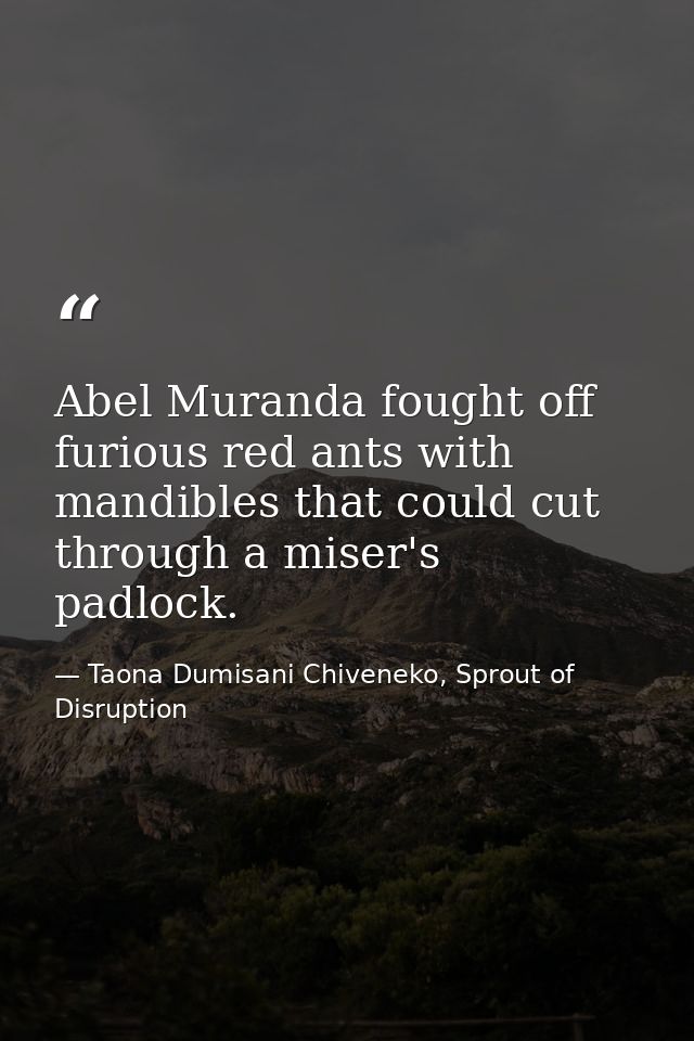 Abel Muranda fought off furious red ants with mandibles that could cut through a miser's padlock. — Taona Dumisani Chiveneko, Sprout of Disruption