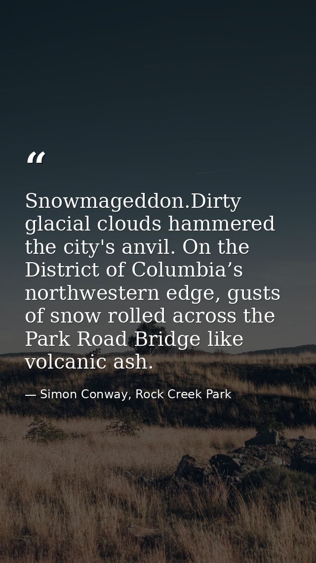 Snowmageddon.Dirty glacial clouds hammered the city's anvil. On the District of Columbia’s northwestern edge, gusts of s — Simon Conway, Rock Creek Park