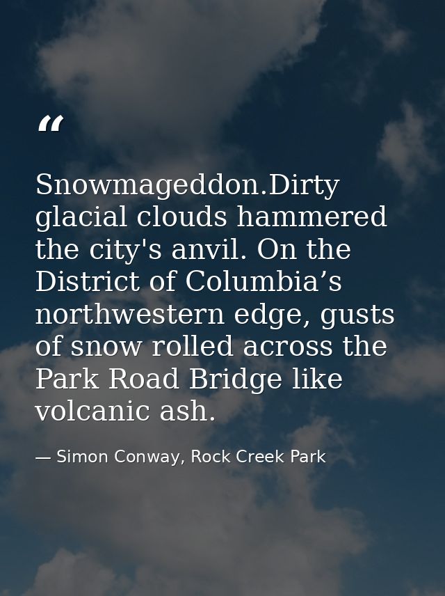 Snowmageddon.Dirty glacial clouds hammered the city's anvil. On the District of Columbia’s northwestern edge, gusts of s — Simon Conway, Rock Creek Park