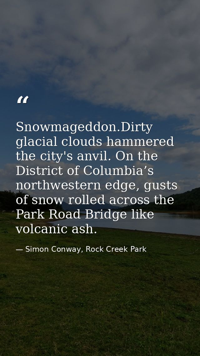 Snowmageddon.Dirty glacial clouds hammered the city's anvil. On the District of Columbia’s northwestern edge, gusts of s — Simon Conway, Rock Creek Park