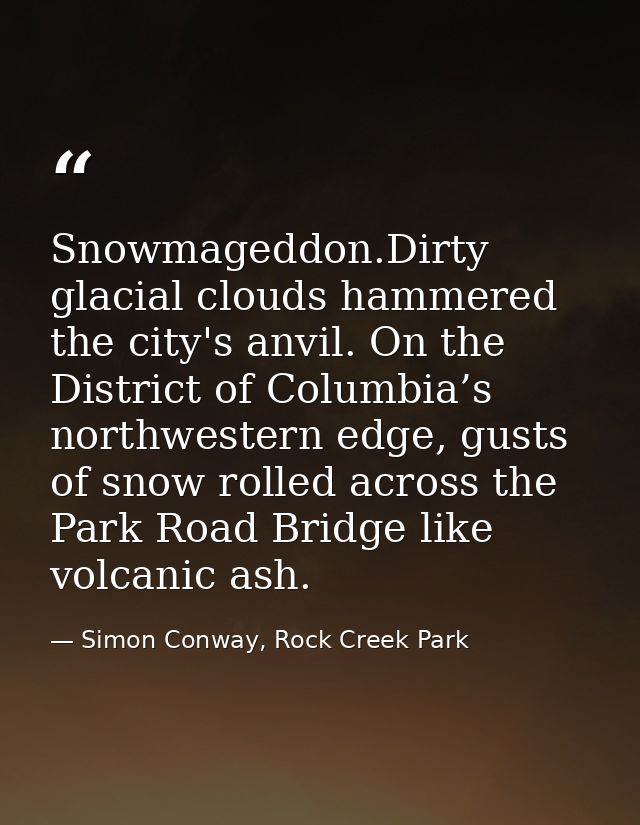 Snowmageddon.Dirty glacial clouds hammered the city's anvil. On the District of Columbia’s northwestern edge, gusts of s — Simon Conway, Rock Creek Park