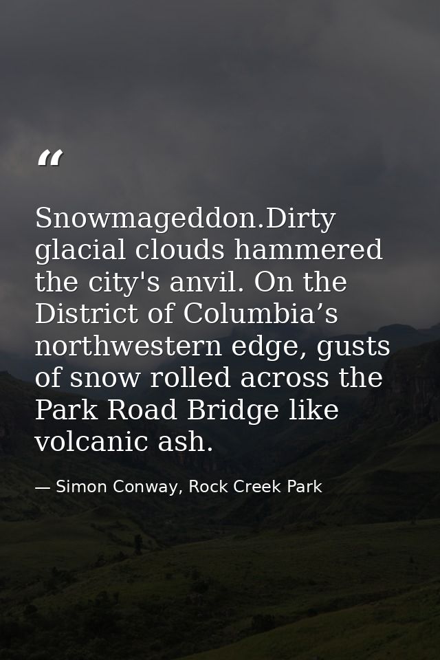 Snowmageddon.Dirty glacial clouds hammered the city's anvil. On the District of Columbia’s northwestern edge, gusts of s — Simon Conway, Rock Creek Park
