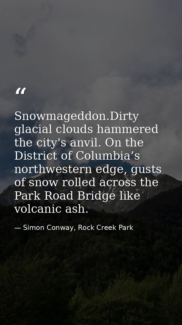 Snowmageddon.Dirty glacial clouds hammered the city's anvil. On the District of Columbia’s northwestern edge, gusts of s — Simon Conway, Rock Creek Park