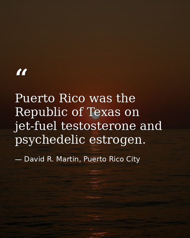 Puerto Rico was the Republic of Texas on jet-fuel testosterone and psychedelic estrogen. — David R. Martin, Puerto Rico City
