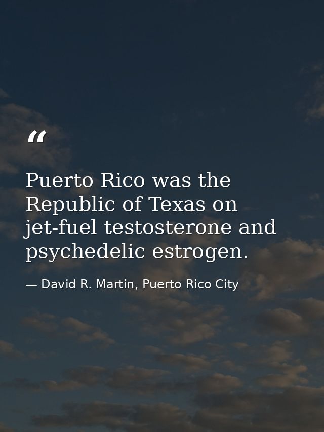 Puerto Rico was the Republic of Texas on jet-fuel testosterone and psychedelic estrogen. — David R. Martin, Puerto Rico City