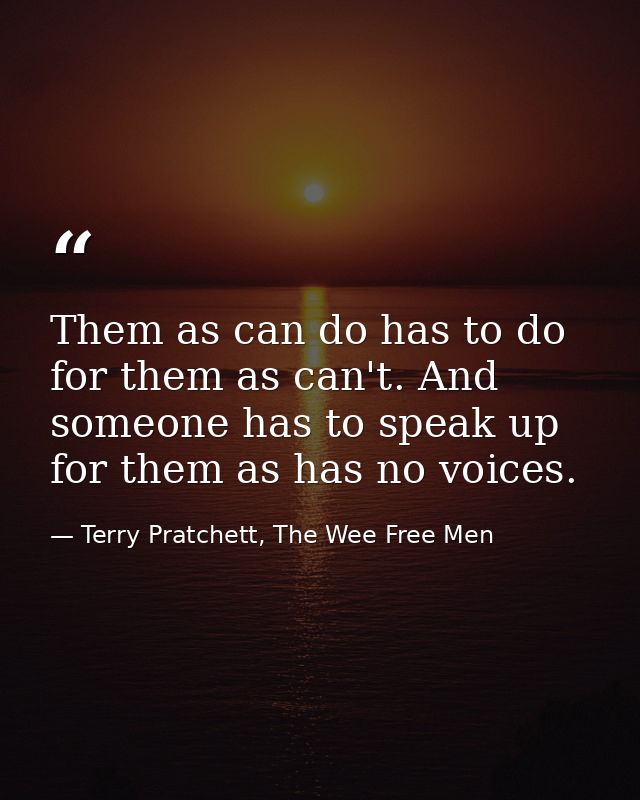 Them as can do has to do for them as can't. And someone has to speak up for them as has no voices. — Terry Pratchett, The Wee Free Men