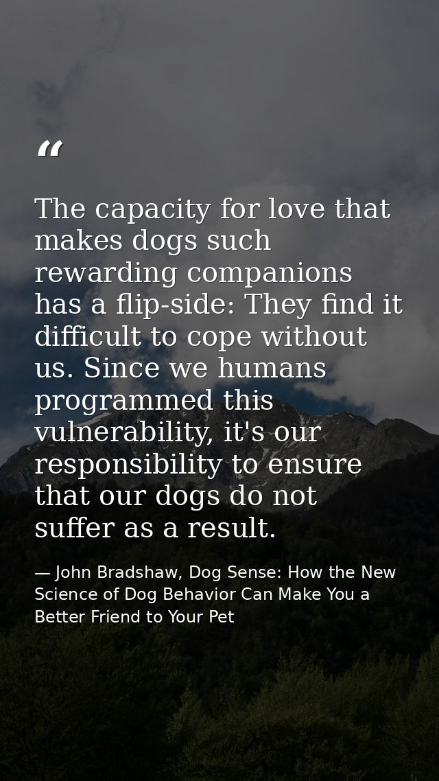 The capacity for love that makes dogs such rewarding companions has a flip-side: They find it difficult to cope without  — John Bradshaw, Dog Sense: How the New Science of Dog Behavior Can Make You a Better Friend to Your Pet