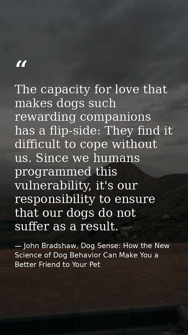 The capacity for love that makes dogs such rewarding companions has a flip-side: They find it difficult to cope without  — John Bradshaw, Dog Sense: How the New Science of Dog Behavior Can Make You a Better Friend to Your Pet