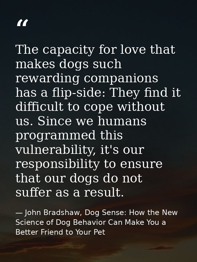 The capacity for love that makes dogs such rewarding companions has a flip-side: They find it difficult to cope without  — John Bradshaw, Dog Sense: How the New Science of Dog Behavior Can Make You a Better Friend to Your Pet
