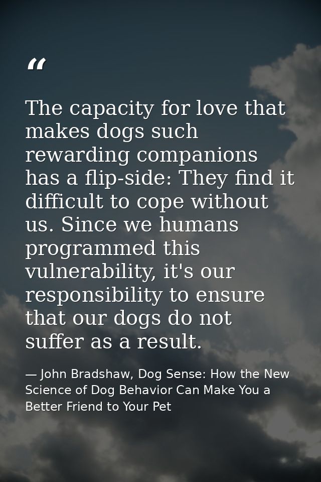 The capacity for love that makes dogs such rewarding companions has a flip-side: They find it difficult to cope without  — John Bradshaw, Dog Sense: How the New Science of Dog Behavior Can Make You a Better Friend to Your Pet