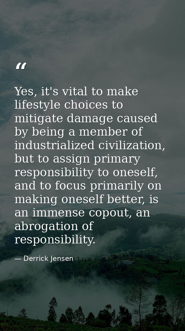 Yes, it's vital to make lifestyle choices to mitigate damage caused by being a member of industrialized civilization, bu — Derrick Jensen