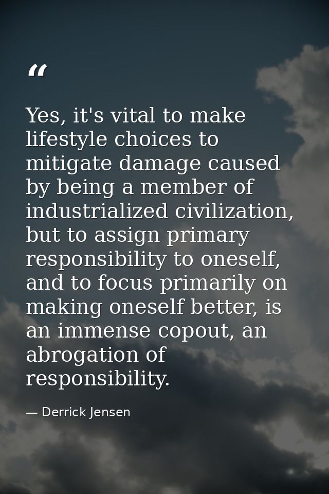 Yes, it's vital to make lifestyle choices to mitigate damage caused by being a member of industrialized civilization, bu — Derrick Jensen