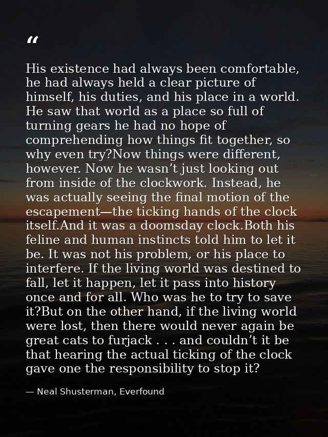 His existence had always been comfortable, he had always held a clear picture of himself, his duties, and his place in a — Neal Shusterman, Everfound