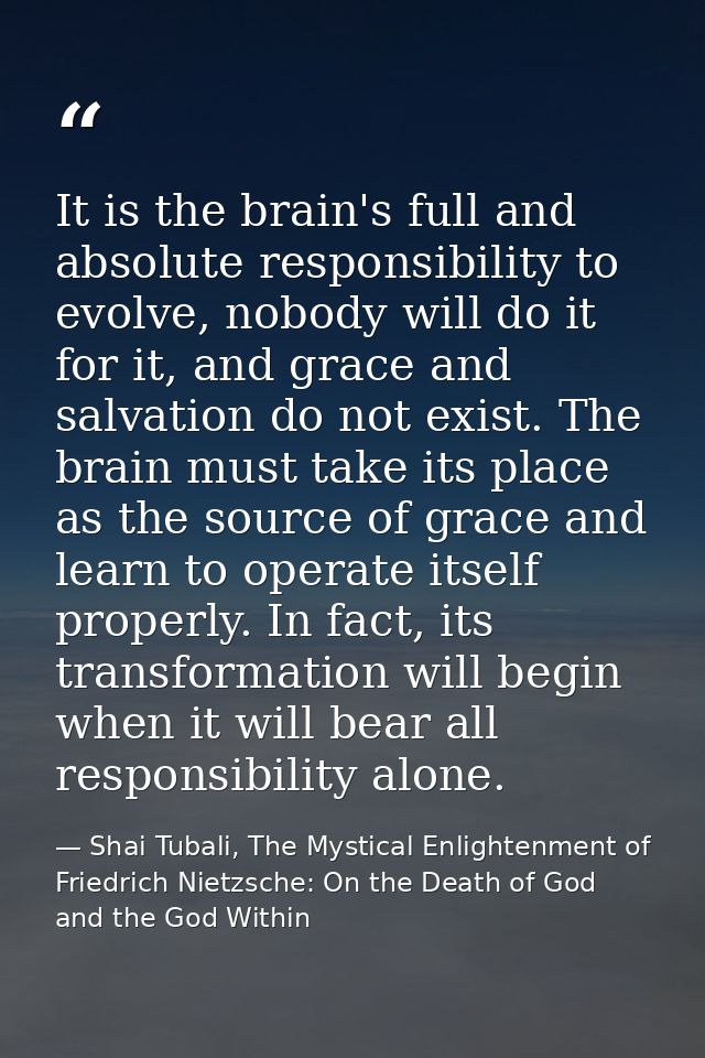 It is the brain's full and absolute responsibility to evolve, nobody will do it for it, and grace and salvation do not e — Shai Tubali, The Mystical Enlightenment of Friedrich Nietzsche: On the Death of God and the God Within