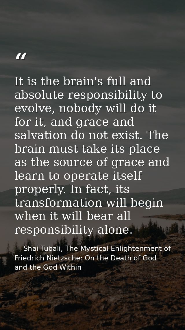 It is the brain's full and absolute responsibility to evolve, nobody will do it for it, and grace and salvation do not e — Shai Tubali, The Mystical Enlightenment of Friedrich Nietzsche: On the Death of God and the God Within