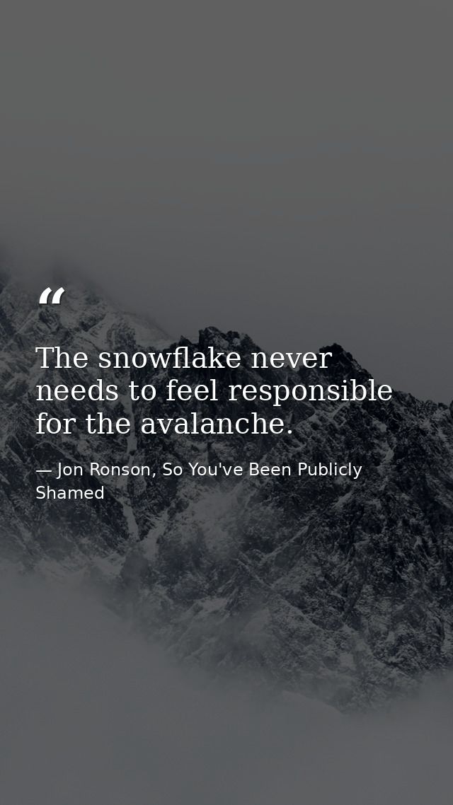 The snowflake never needs to feel responsible for the avalanche. — Jon Ronson, So You've Been Publicly Shamed