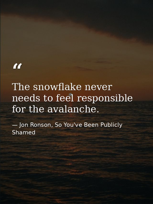 The snowflake never needs to feel responsible for the avalanche. — Jon Ronson, So You've Been Publicly Shamed