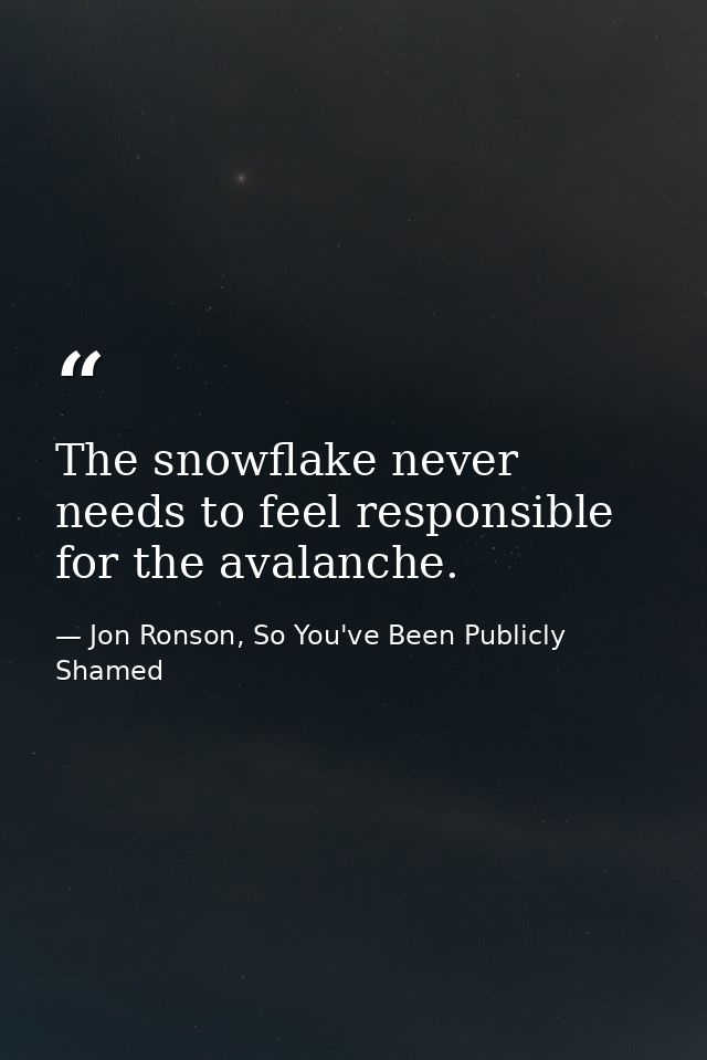 The snowflake never needs to feel responsible for the avalanche. — Jon Ronson, So You've Been Publicly Shamed