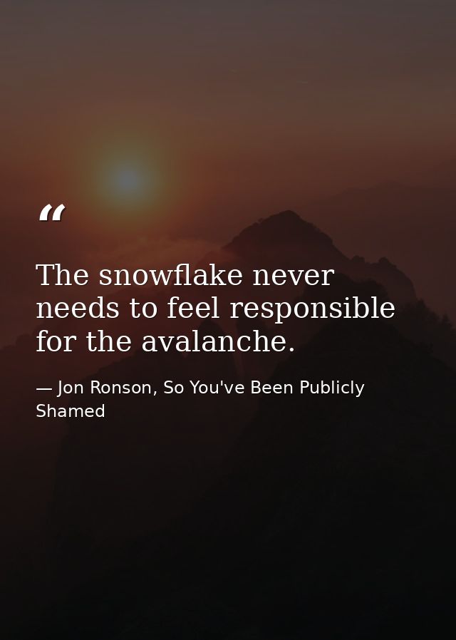 The snowflake never needs to feel responsible for the avalanche. — Jon Ronson, So You've Been Publicly Shamed