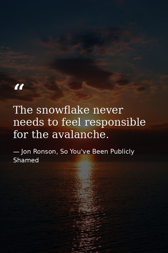 The snowflake never needs to feel responsible for the avalanche. — Jon Ronson, So You've Been Publicly Shamed