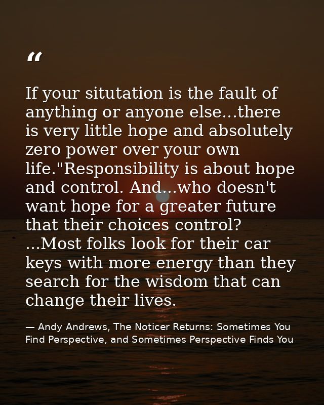 If your situtation is the fault of anything or anyone else...there is very little hope and absolutely zero power over yo — Andy Andrews, The Noticer Returns: Sometimes You Find Perspective, and Sometimes Perspective Finds You