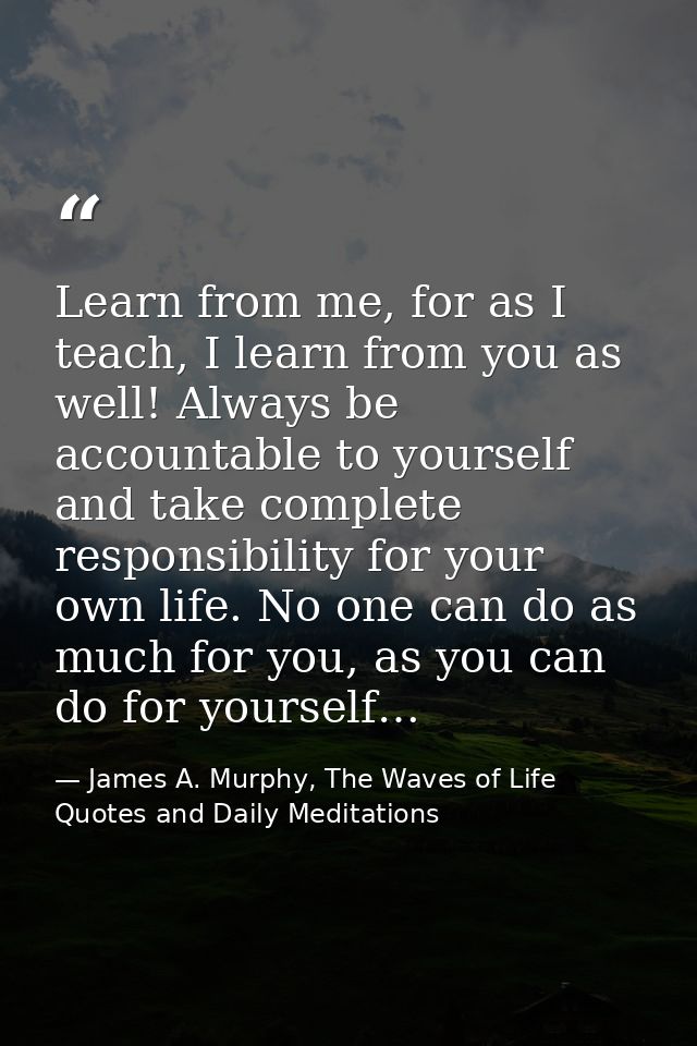Learn from me, for as I teach, I learn from you as well! Always be accountable to yourself and take complete responsibil — James A. Murphy, The Waves of Life Quotes and Daily Meditations