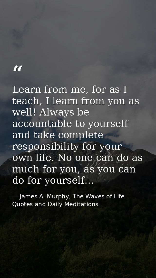 Learn from me, for as I teach, I learn from you as well! Always be accountable to yourself and take complete responsibil — James A. Murphy, The Waves of Life Quotes and Daily Meditations