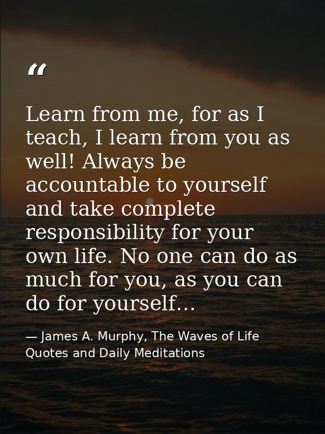 Learn from me, for as I teach, I learn from you as well! Always be accountable to yourself and take complete responsibil — James A. Murphy, The Waves of Life Quotes and Daily Meditations