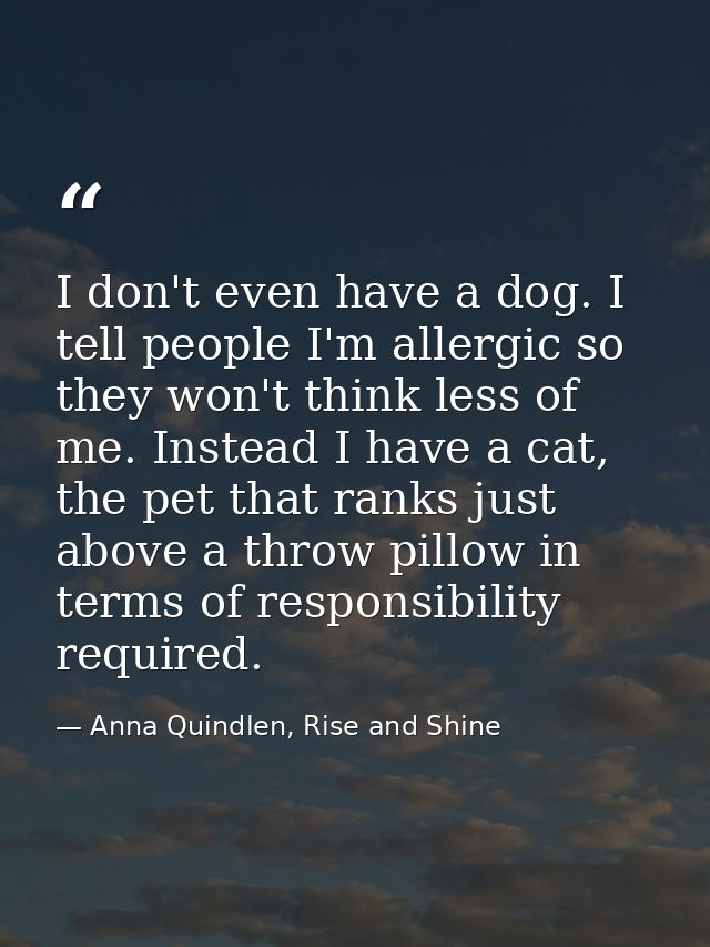 I don't even have a dog. I tell people I'm allergic so they won't think less of me. Instead I have a cat, the pet that r — Anna Quindlen, Rise and Shine