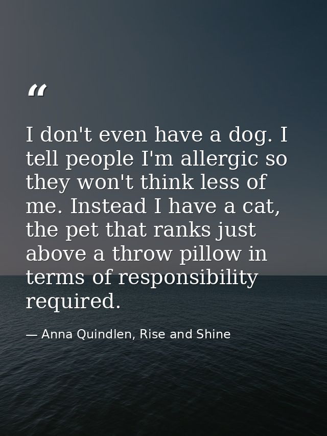 I don't even have a dog. I tell people I'm allergic so they won't think less of me. Instead I have a cat, the pet that r — Anna Quindlen, Rise and Shine