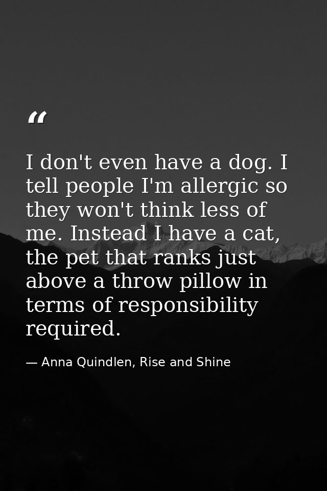 I don't even have a dog. I tell people I'm allergic so they won't think less of me. Instead I have a cat, the pet that r — Anna Quindlen, Rise and Shine