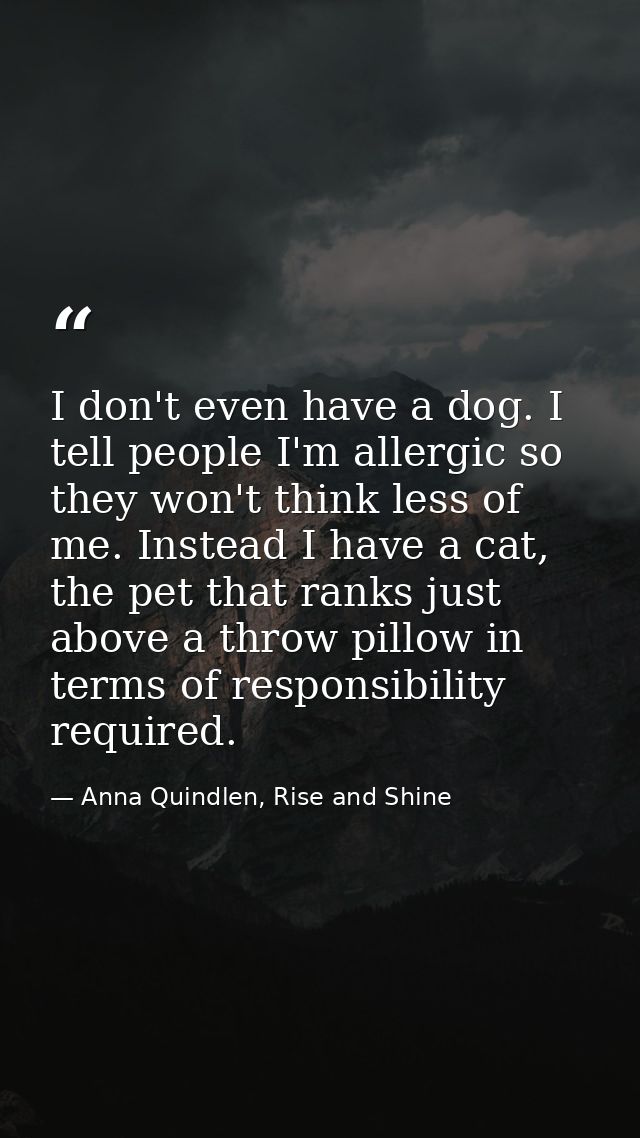 I don't even have a dog. I tell people I'm allergic so they won't think less of me. Instead I have a cat, the pet that r — Anna Quindlen, Rise and Shine