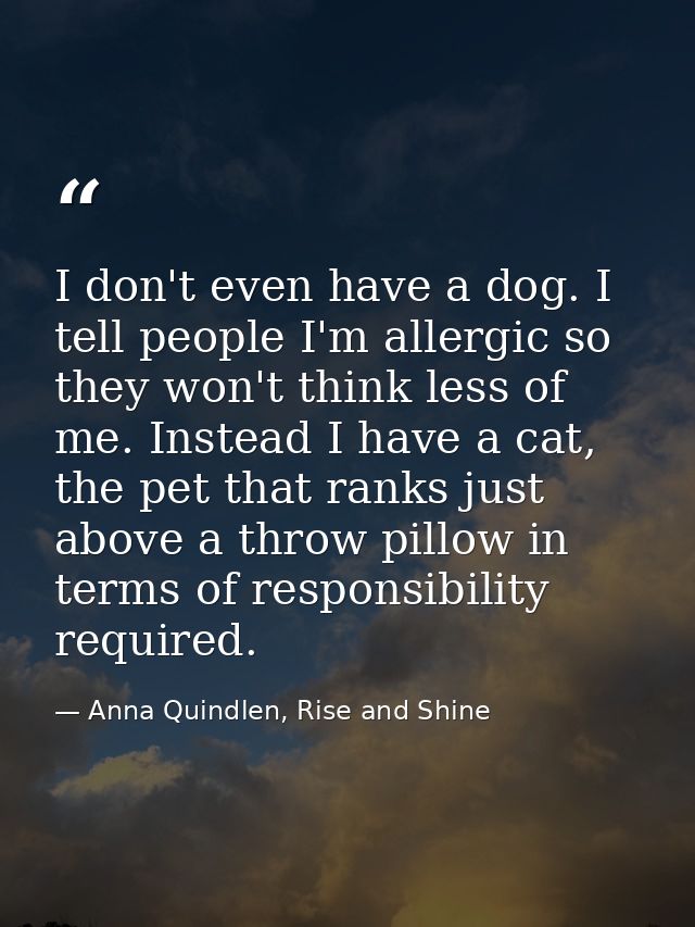 I don't even have a dog. I tell people I'm allergic so they won't think less of me. Instead I have a cat, the pet that r — Anna Quindlen, Rise and Shine