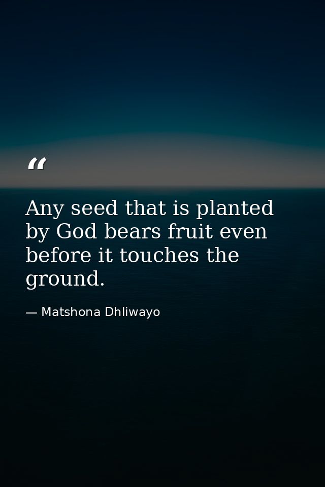 Any seed that is planted by God bears fruit even before it touches the ground. — Matshona Dhliwayo