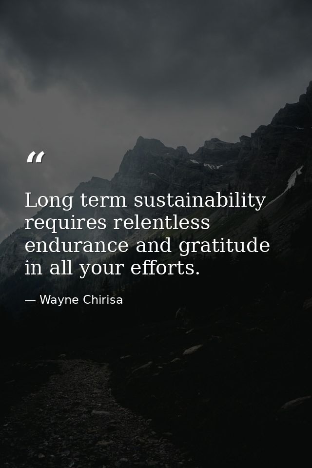 Long term sustainability requires relentless endurance and gratitude in all your efforts. — Wayne Chirisa